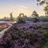 Panorama Galderse Heide Breda van JPWFoto