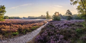 Panorama Galderse Heide Breda van JPWFoto