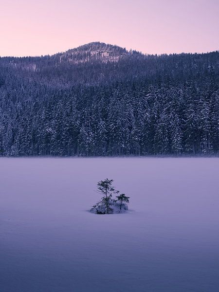 Sunset at frozen Arbersee 2 by Max Schiefele