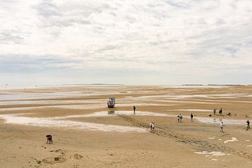 View over the Green Beach on Terschelling by Niek