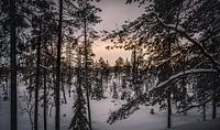 Landschaft Finnisch-Lappland von Suzanne De Boer Miniaturansicht