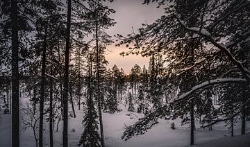Landschap Fins Lapland van Suzanne De Boer