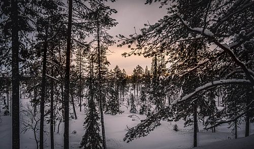 Landscape Finnish Lapland