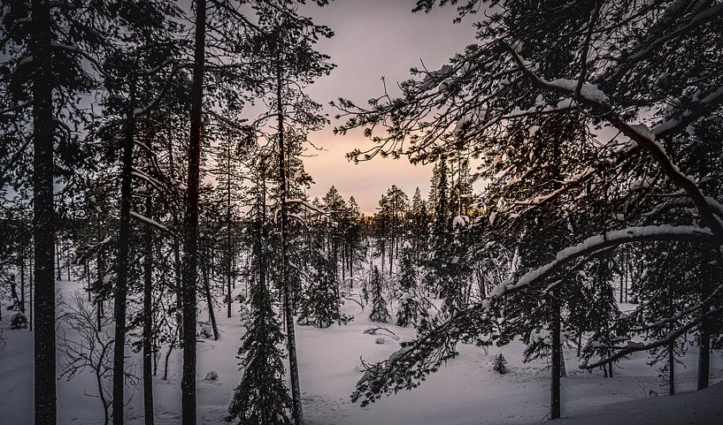 Landschaft Finnisch-Lappland von Suzanne De Boer