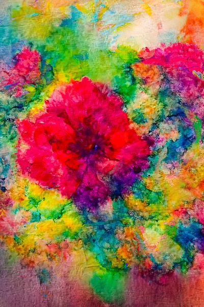 Fleurs colorées par Geert Van Baelen