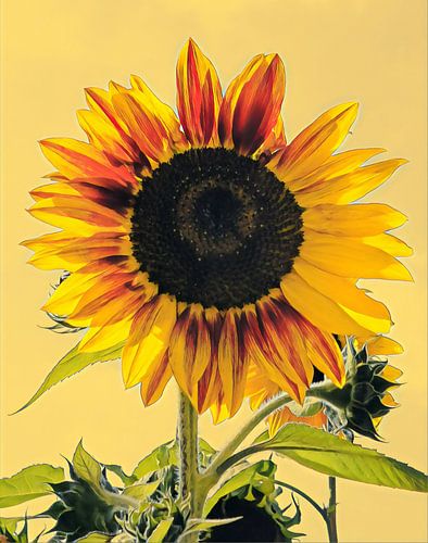 Sunflower painting