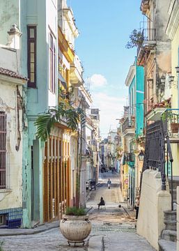 Straßenszene in Havanna von Achim Prill
