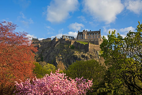 Edinburgh Castle; Cherry Blossom; Edinburgh, Scotland.