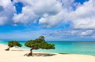 Des couleurs étonnantes sur une plage des Caraïbes par Arthur Puls Photography Aperçu