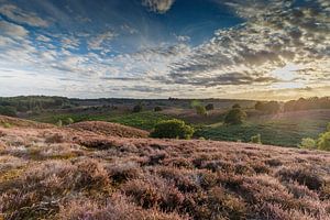 La Posbank. sur Menno Schaefer