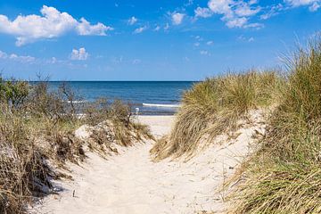 Beach access on the Baltic Sea coast near Rosenort in the Rostock H by Rico Ködder