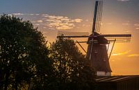 Molen in de ochtendzon. van Robin Pics (verliefd op Utrecht) thumbnail