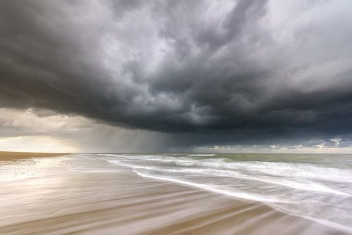 Searching for shelter