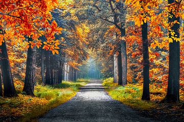 Herfst in Nederland van Manjik Pictures