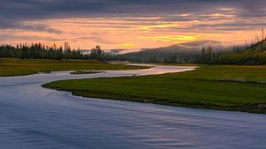 Sonnenaufgang am Madison River, Yellowstone N.P.