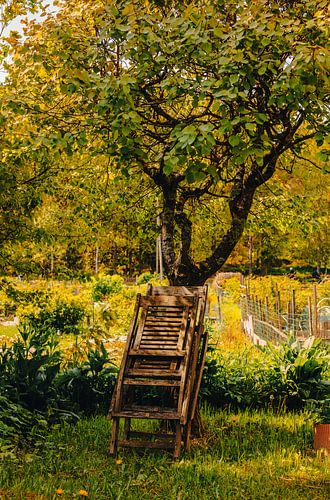 Chaises de jardin empilées au pied d’un arbre fruitier | art mural champêtre