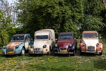 Oldtimers lelijke eendjes van Carin IJpelaar