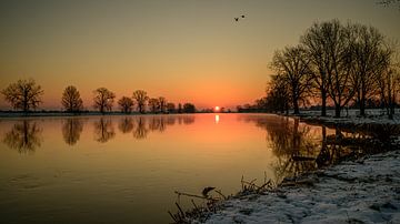 Kalter Sonnenaufgang an der Maas bei Grave von Jan Hoekstra