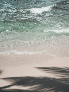 Schatten spendende Palme am Strand von Sri Lanka