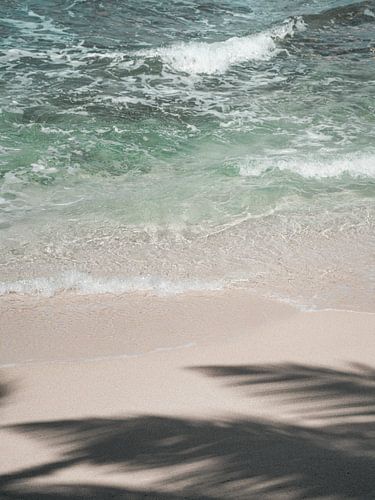 Schaduw palmboom op het strand in Sri Lanka | fine art fotoprint