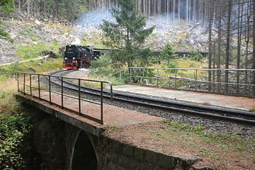 Stoomtrein op de Brocken, Duitsland van Folkert Jan Wijnstra