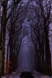 haunting atmosphere by C mansveld