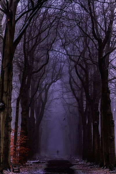 atmosphère obsédante par C mansveld