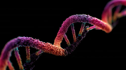 Dna element roze-paars panorama