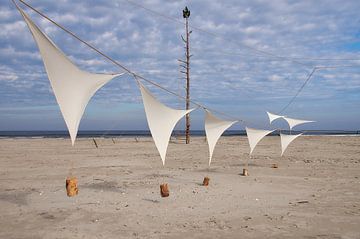 Schiermonnikoog festival van Ad Jekel