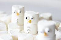 Marshmallow snowman