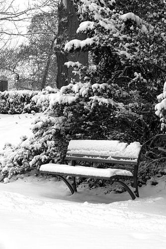 Bench in the snow