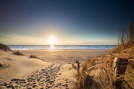 Chemin vers la plage de la mer du Nord sous le soleil d'été, Pays-Bas