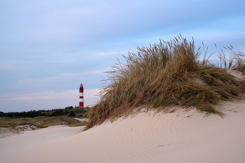 Leuchtturm, Amrum, Deutschland von Alexander Ludwig