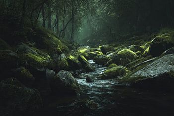 Unter dem grünen Dach der Stille