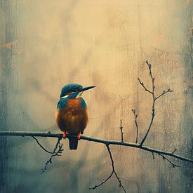 Eisvogel auf einem Ast im stimmungsvollen Abendlicht von But First Framing