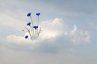 Cloud-Travel light