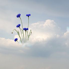 Cloud-Travel light by Hannie Kassenaar