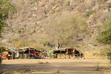 Fulani Bororo in het zuiden van Tsjaad van Maarten van de Biezen