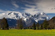 Uitzicht over Farchant naar Alpspitze en Zugspitze van Andreas Müller thumbnail