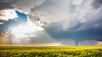 Tornado Alley