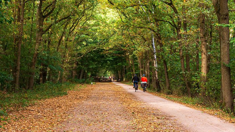Westerheide by Peter Veerman