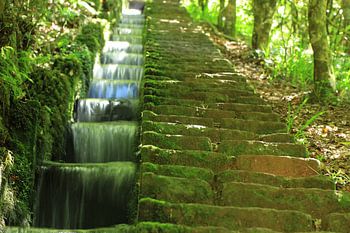 Levada Madeira