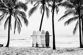 The Boards by Kathrin Pienaar