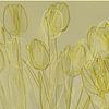 Gouden tulpen van Diana Mets