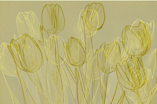 Abstract tulips pink