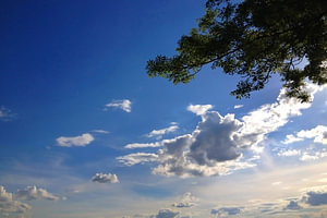 Blauer Himmel mit Kumuluswolken und Baumzweigen