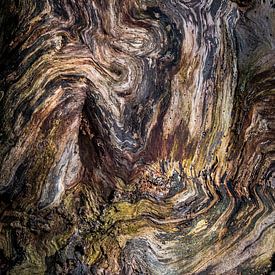 Jaspar Moulijn profielfoto