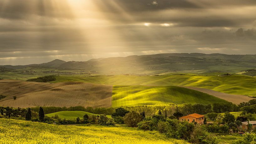 Toscane by Gonda van Wijk