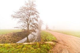 Un matin brumeux avec une route et une rivière sur Marcel Derweduwen