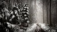 Winterlandschap van Maurice Cobben thumbnail